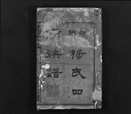 湖南杨氏族谱-杨氏四修族谱 [8卷,首1卷,末3卷].pdf电子版插图2