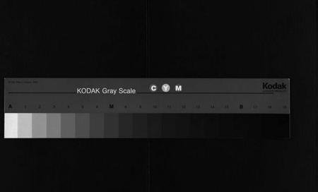 湖南杨氏族谱-杨氏大成族谱[27卷].pdf电子版