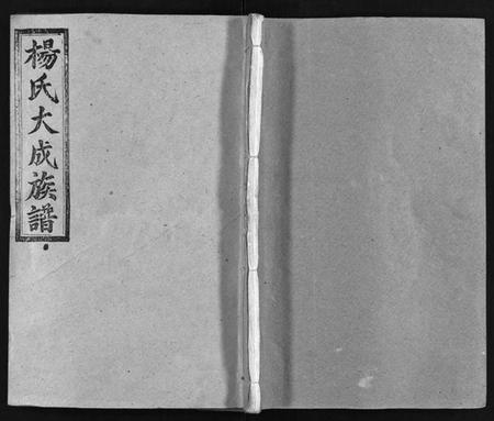 湖南杨氏族谱-杨氏大成族谱[27卷].pdf电子版插图1