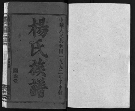 湖南杨氏族谱-杨氏大成族谱[27卷].pdf电子版插图2