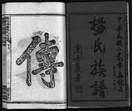 湖南杨氏族谱-杨氏大成族谱[27卷].pdf电子版插图3