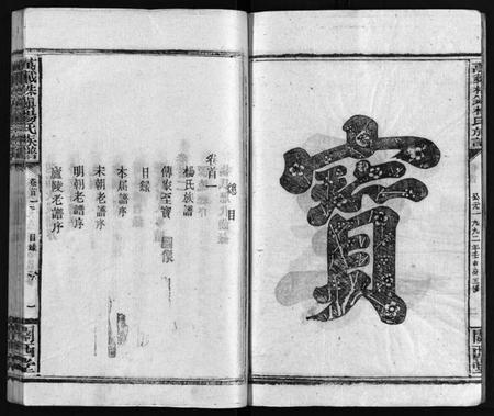 湖南杨氏族谱-杨氏大成族谱[27卷].pdf电子版插图5