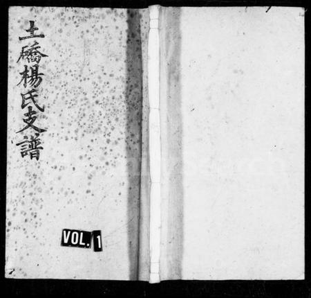 湖南杨氏族谱-杨氏支谱 [10卷,首2卷].pdf电子版插图1