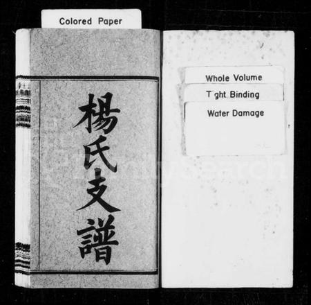 湖南杨氏族谱-杨氏支谱 [10卷,首2卷].pdf电子版插图2