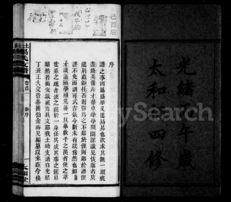 湖南杨氏族谱-杨氏支谱 [10卷,首2卷].pdf电子版插图4