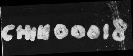 湖南杨氏族谱-杨氏族谱 [11卷,首2卷].pdf电子版插图4