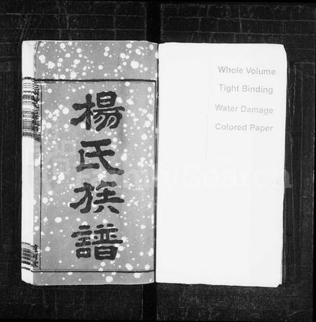 湖南杨氏族谱-杨氏族谱 [19卷,首1卷].pdf电子版插图2