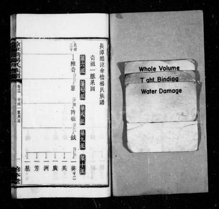 湖南杨氏族谱-杨氏族谱 [20卷].pdf电子版插图2