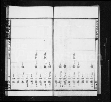湖南杨氏族谱-杨氏族谱 [20卷].pdf电子版插图3