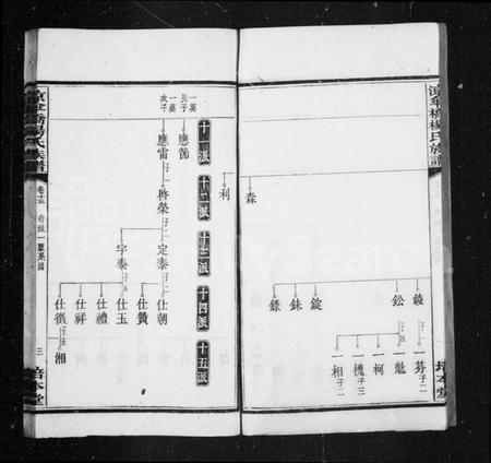 湖南杨氏族谱-杨氏族谱 [20卷].pdf电子版插图4