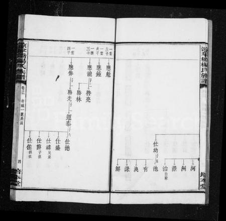 湖南杨氏族谱-杨氏族谱 [20卷].pdf电子版插图5