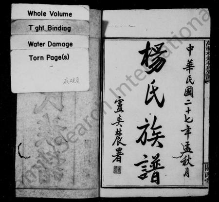 湖南杨氏族谱-杨氏族谱 [23卷,及卷首].pdf电子版插图2