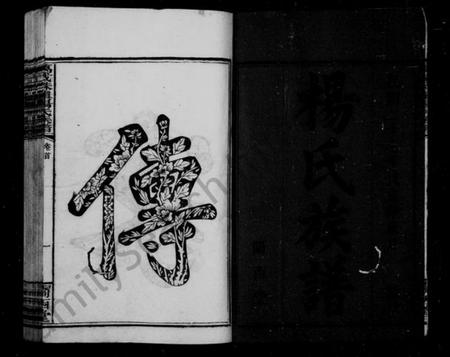 湖南杨氏族谱-杨氏族谱 [23卷,及卷首].pdf电子版插图4