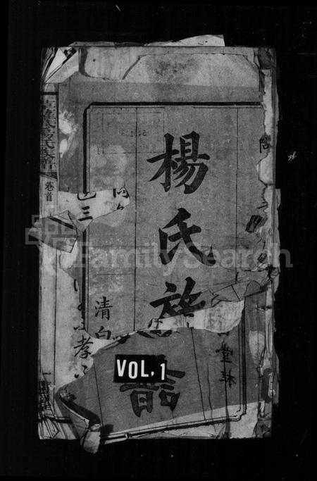 湖南杨氏族谱-杨氏族谱 [23卷,首末各1卷].pdf电子版插图1