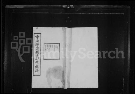 湖南杨氏族谱-杨氏族谱 [41卷].pdf电子版插图1