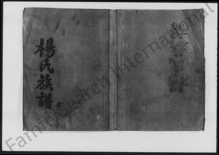 湖南杨氏族谱-杨氏族谱 [42卷,首4卷].pdf电子版插图4