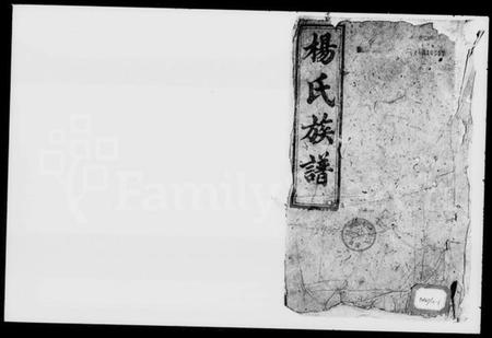 湖南杨氏族谱-杨氏族谱 [6卷,首1卷].pdf电子版插图1