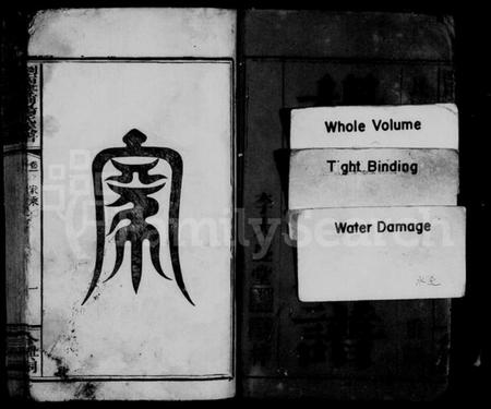 湖南杨氏族谱-杨氏族谱 [8卷].pdf电子版插图3