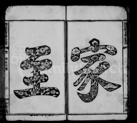 湖南杨氏族谱-杨氏族谱 [8卷].pdf电子版插图5