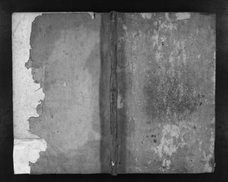 湖南杨氏族谱-杨氏族谱 [不分卷].pdf电子版插图1