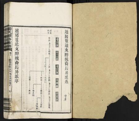 湖南杨氏族谱-杨氏续修家谱 [13卷].pdf电子版插图1