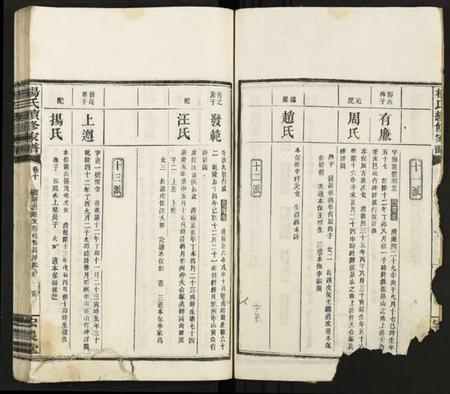 湖南杨氏族谱-杨氏续修家谱 [13卷].pdf电子版插图2