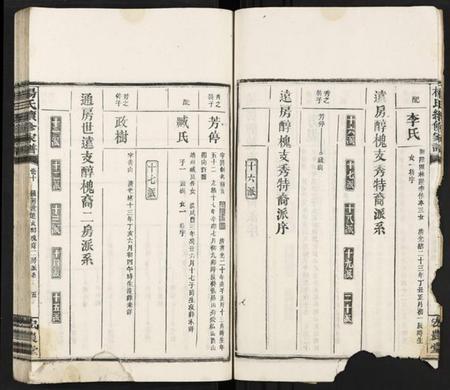 湖南杨氏族谱-杨氏续修家谱 [13卷].pdf电子版插图5