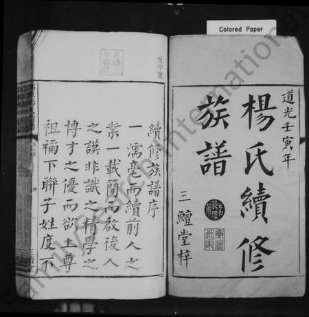 湖南杨氏族谱-杨氏续修族谱 [14卷,首末各1卷].pdf电子版插图2