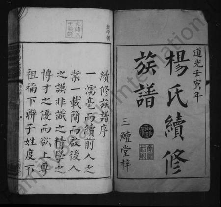 湖南杨氏族谱-杨氏续修族谱 [14卷,首末各1卷].pdf电子版插图3