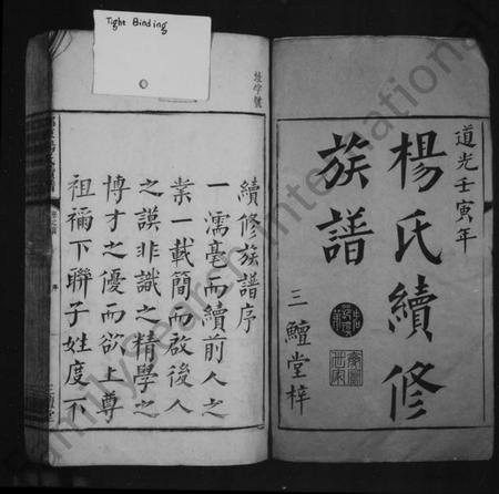 湖南杨氏族谱-杨氏续修族谱 [14卷,首末各1卷].pdf电子版插图4