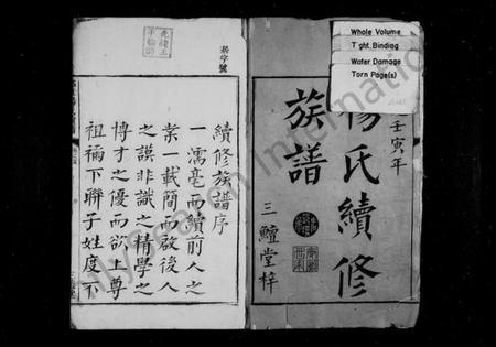 湖南杨氏族谱-杨氏续修族谱 [14卷,首末各1卷].pdf电子版插图3