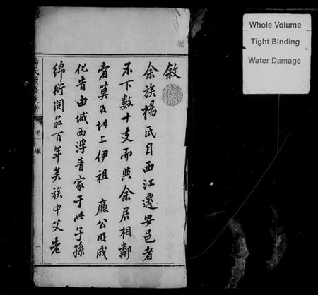 湖南杨氏族谱-杨氏续修族谱 [4卷].pdf电子版插图2