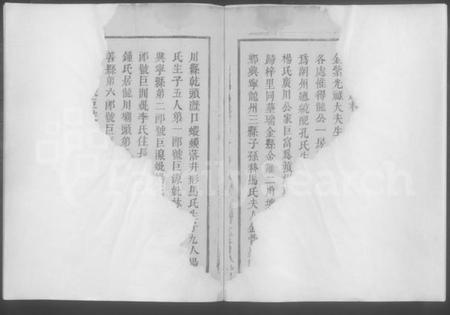 江西刘氏族谱-信丰县桂杨坑刘氏族谱 [不分卷].pdf电子版插图3