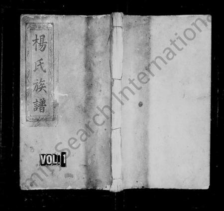 湖南杨氏族谱-浏南楼前杨氏族谱 [8卷,终1卷].pdf电子版插图1