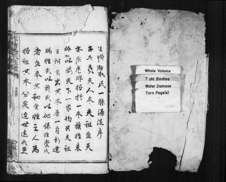 湖南杨氏族谱-浏东杨氏族谱 [不分卷].pdf电子版插图2