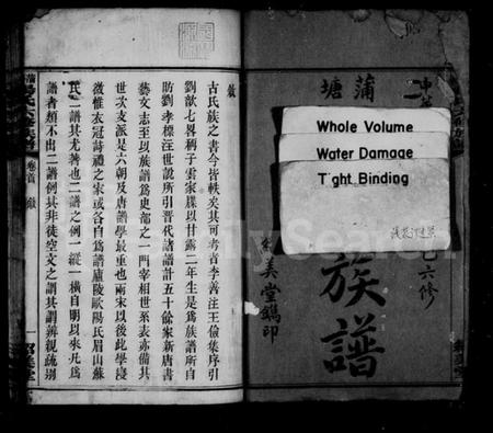 湖南杨氏族谱-蒲塘杨氏族谱 [60卷,首9卷].pdf电子版插图4