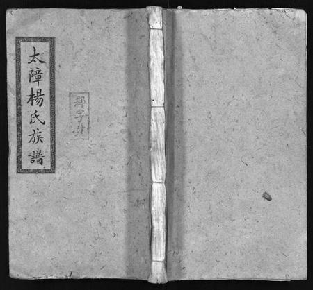 湖南杨氏族谱-醴南太障杨氏四修族谱 [50卷].pdf电子版插图1