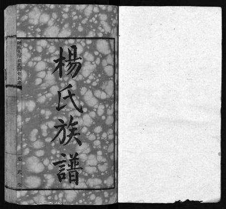 湖南杨氏族谱-醴南太障杨氏四修族谱 [50卷].pdf电子版插图2