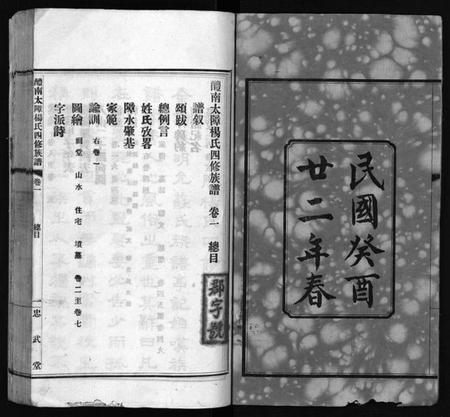 湖南杨氏族谱-醴南太障杨氏四修族谱 [50卷].pdf电子版插图3