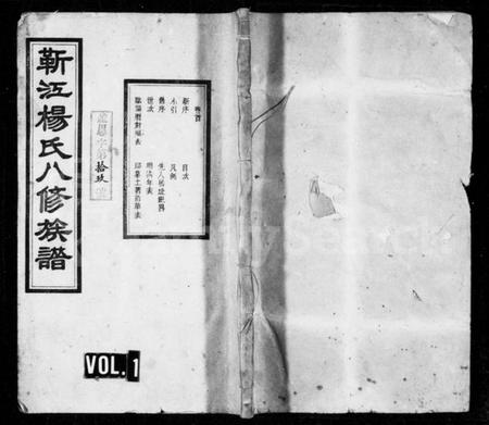 湖南杨氏族谱-靳江杨氏八修族谱 [30卷,首末各1卷].pdf电子版插图1