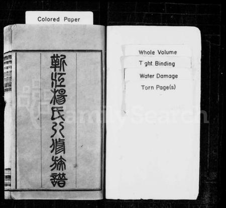 湖南杨氏族谱-靳江杨氏八修族谱 [30卷,首末各1卷].pdf电子版插图2