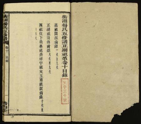 湖南杨氏族谱-衡湘杨氏五修谱 [18卷].pdf电子版插图1