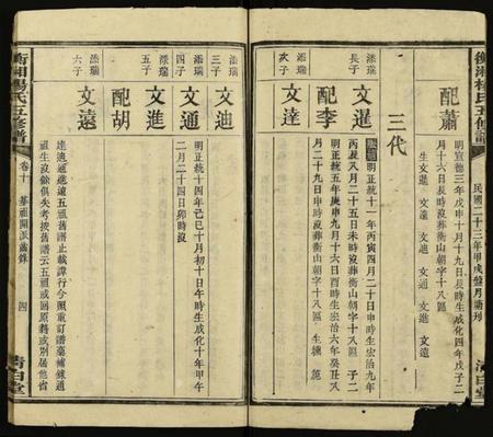 湖南杨氏族谱-衡湘杨氏五修谱 [18卷].pdf电子版插图5