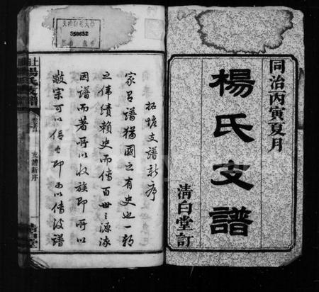 湖南杨氏族谱-杨氏支谱[5卷首1卷].pdf电子版插图3