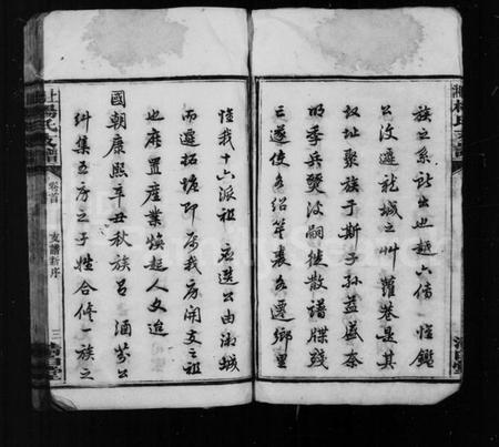 湖南杨氏族谱-杨氏支谱[5卷首1卷].pdf电子版插图5