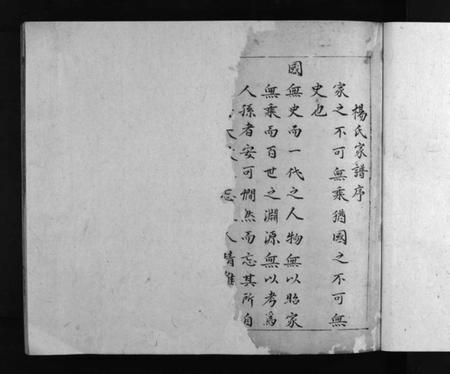 湖南杨氏族谱-杨氏家谱 [不分卷].pdf电子版插图3