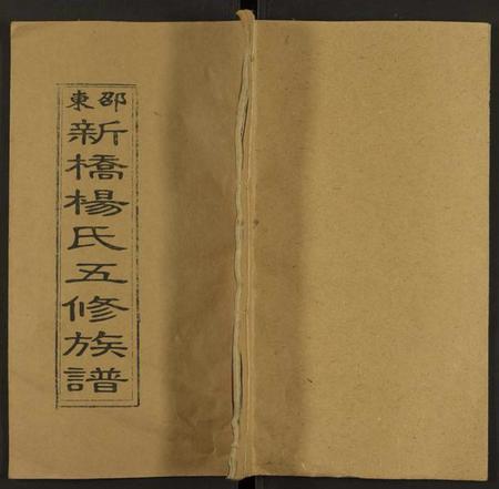 湖南杨氏族谱-新桥杨氏五修族谱 [24卷及卷首末].pdf电子版