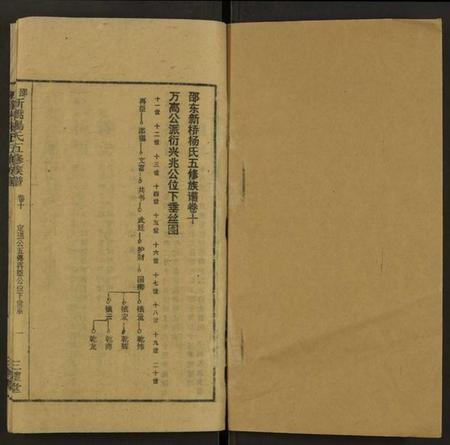 湖南杨氏族谱-新桥杨氏五修族谱 [24卷及卷首末].pdf电子版插图1