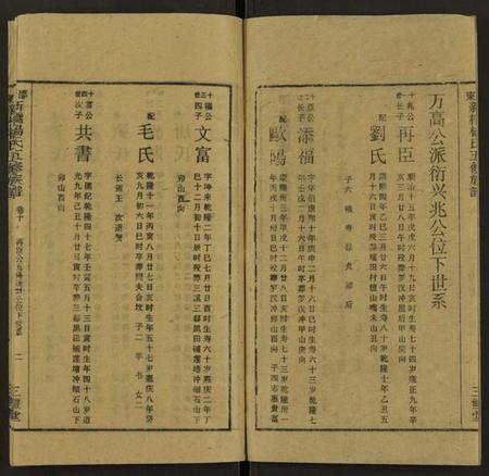 湖南杨氏族谱-新桥杨氏五修族谱 [24卷及卷首末].pdf电子版插图2