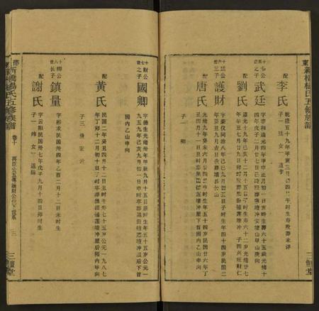 湖南杨氏族谱-新桥杨氏五修族谱 [24卷及卷首末].pdf电子版插图3